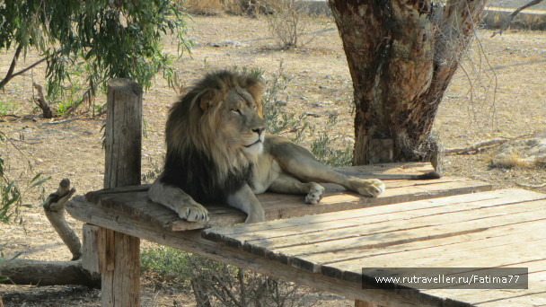 photo 612793