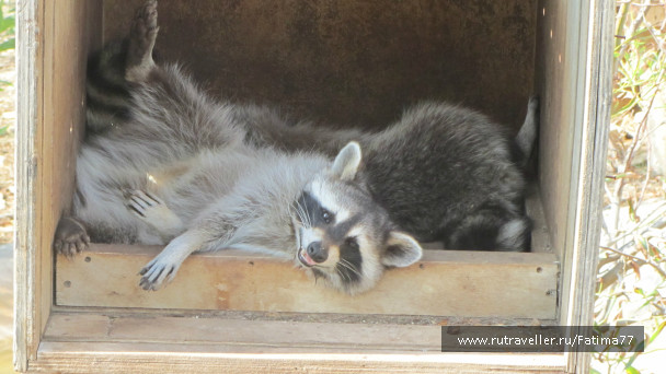 photo 612794
