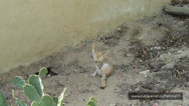photo 635290