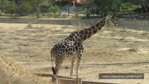 photo 635295