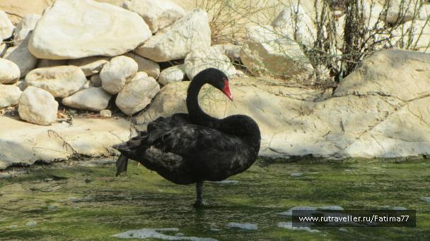 photo 635296