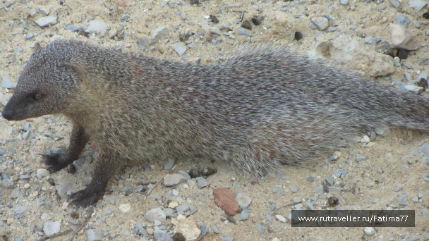 photo 635309