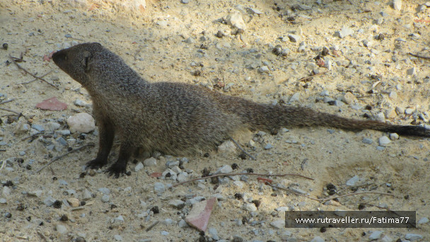 photo 635310