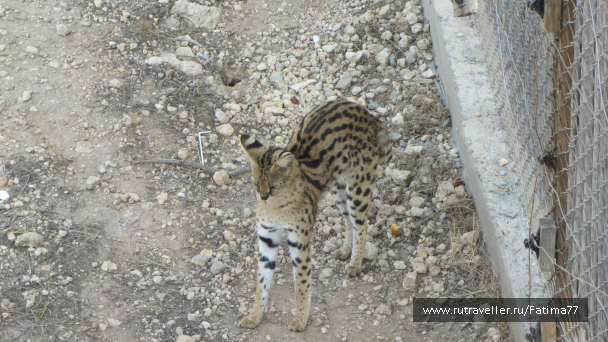 photo 635312