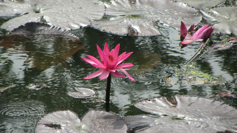 photo 646787