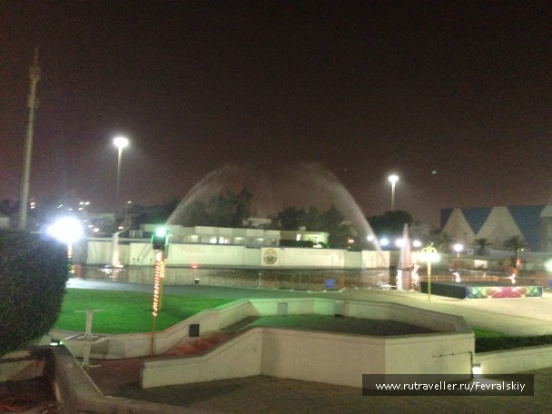 photo 784375