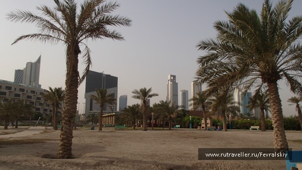 photo 784413