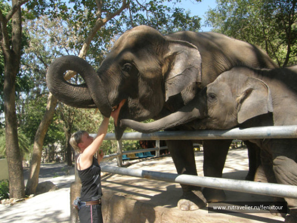 photo 47423