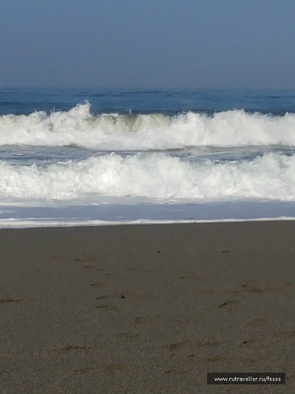 photo 790657