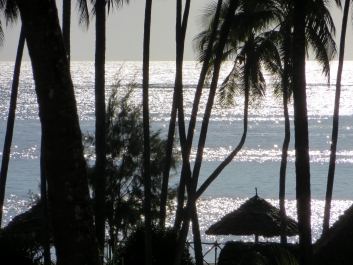 photo 637332