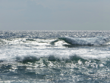 photo 636515