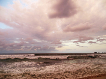 photo 636681