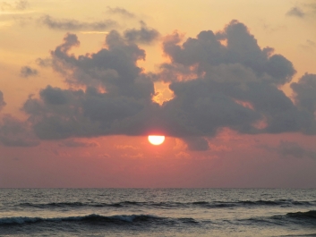 photo 637334