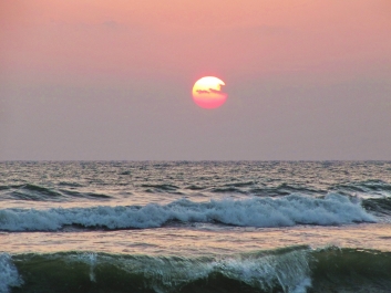 photo 638252