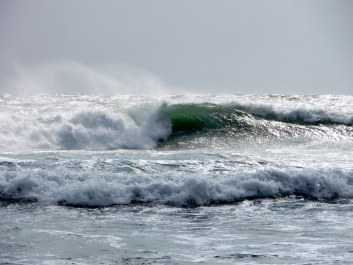 photo 638261