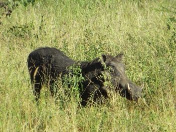 photo 642071