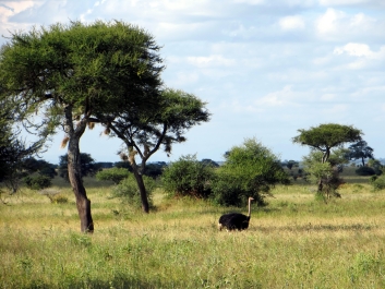 photo 642074