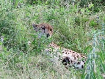photo 642076