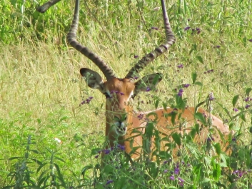 photo 642082