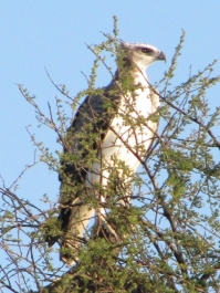 photo 643373