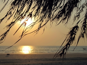 photo 878632