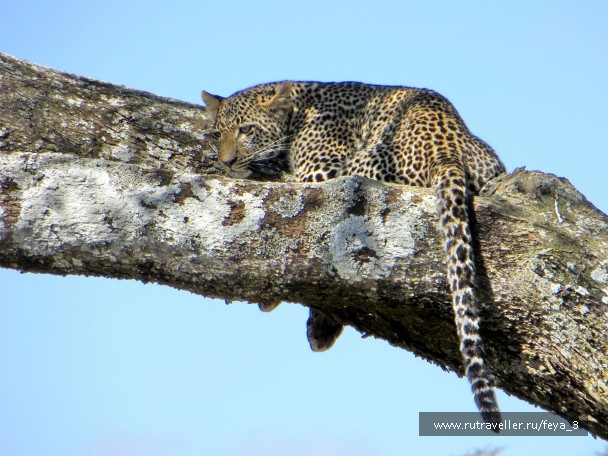 photo 965207