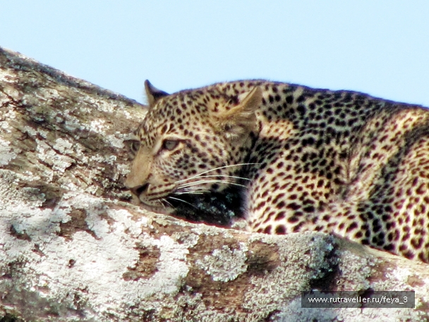 photo 965209