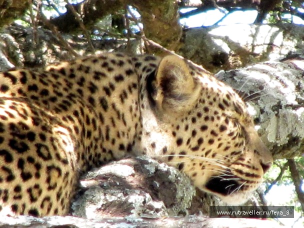 photo 965210
