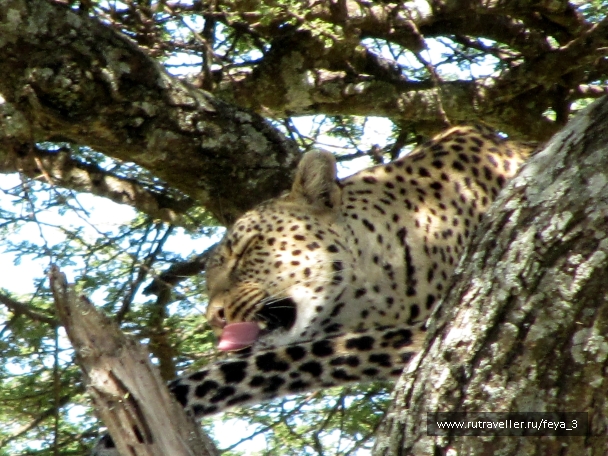 photo 965211