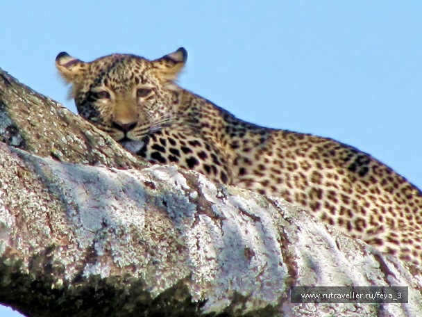 photo 965212