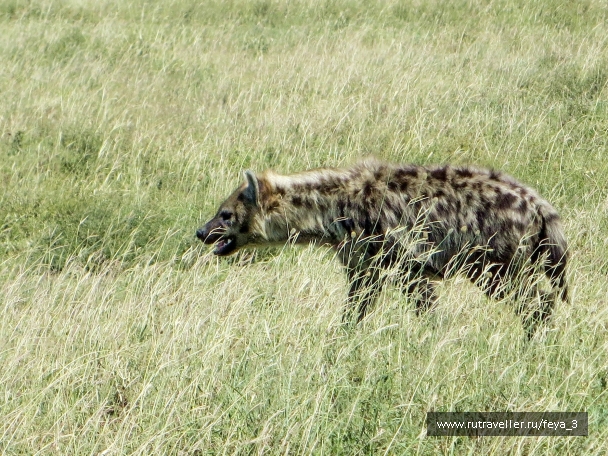photo 967322