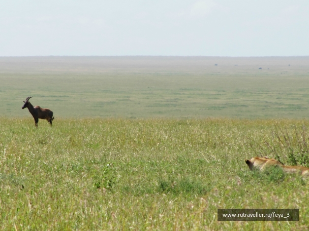 photo 967324