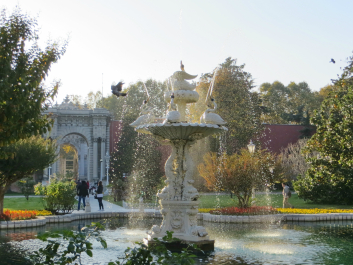 photo 999892