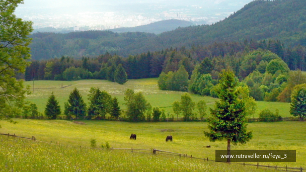 photo 1007791