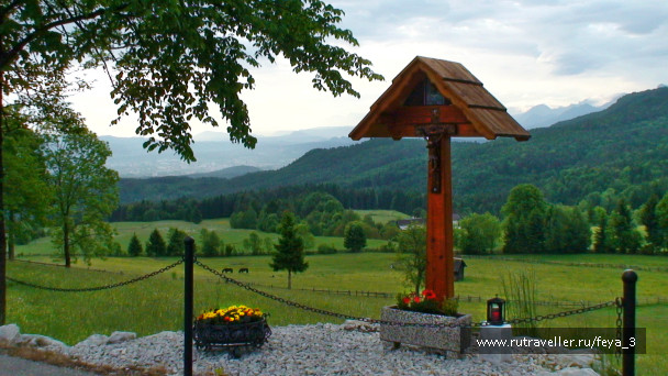 photo 1007792