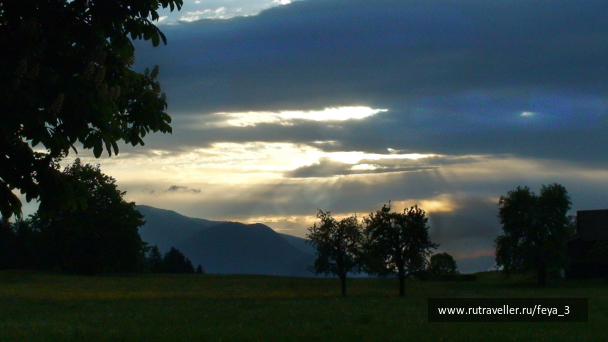 photo 1007794
