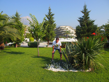 photo 257772