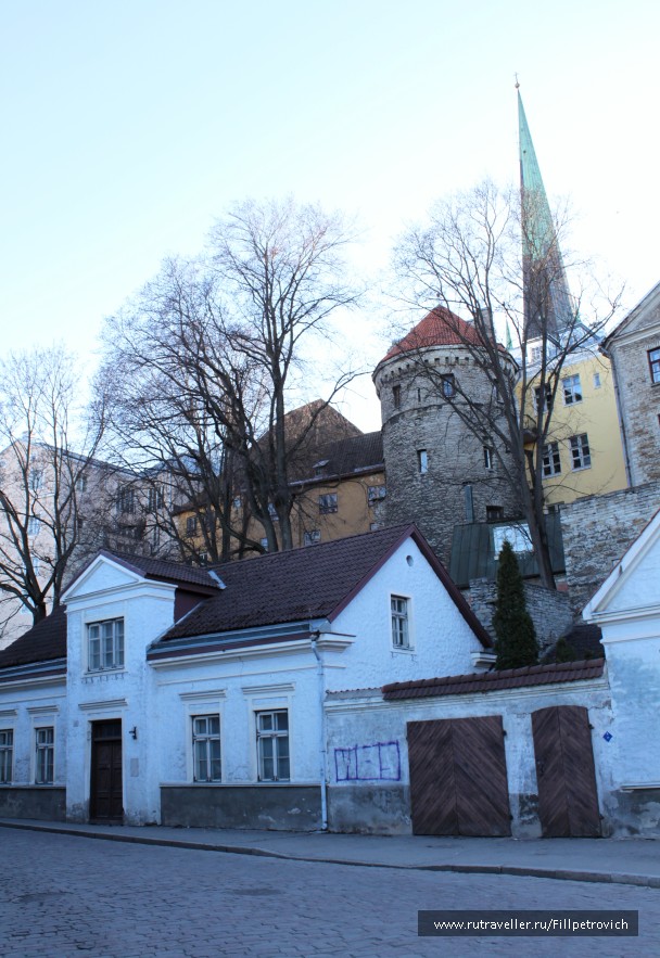 photo 592539