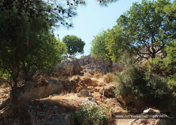 photo 697731