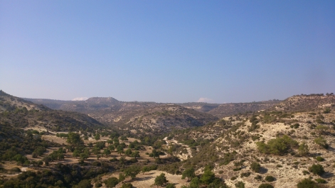 photo 915023