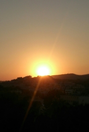 photo 925124