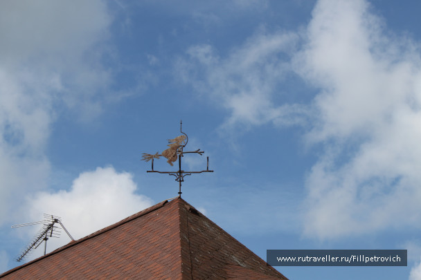 photo 1358129