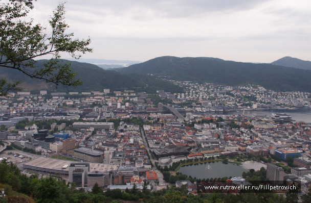 photo 1584251