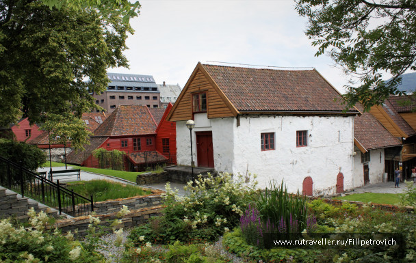 photo 1618856