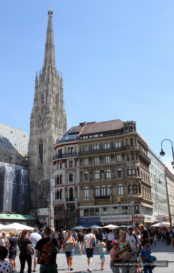 photo 1541614