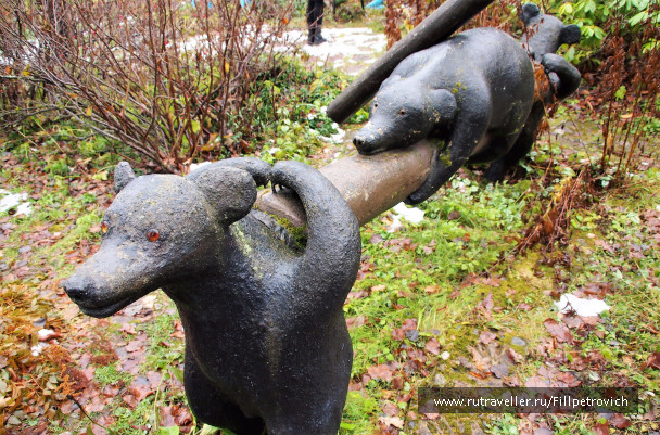 photo 1572568