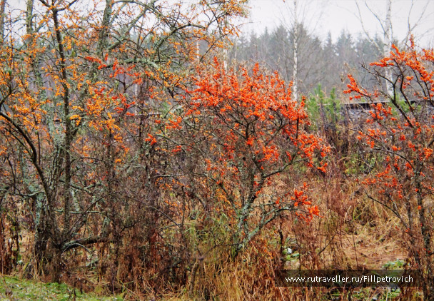 photo 1573189