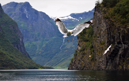 photo 1577757