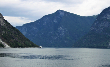 photo 1579841