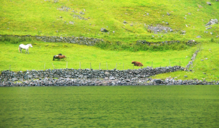 photo 1581853